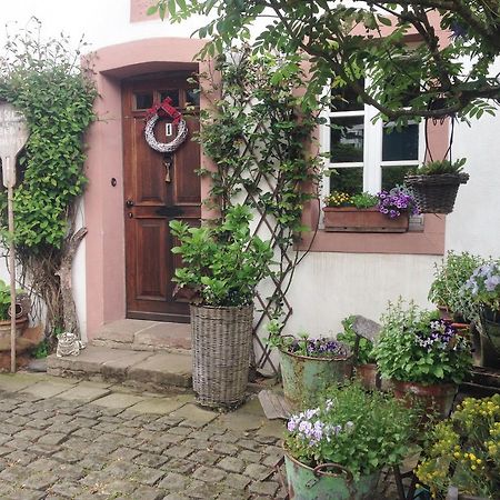 All Seasons Bed & Breakfast Kerpen  Kültér fotó
